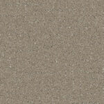 Partridge Brown