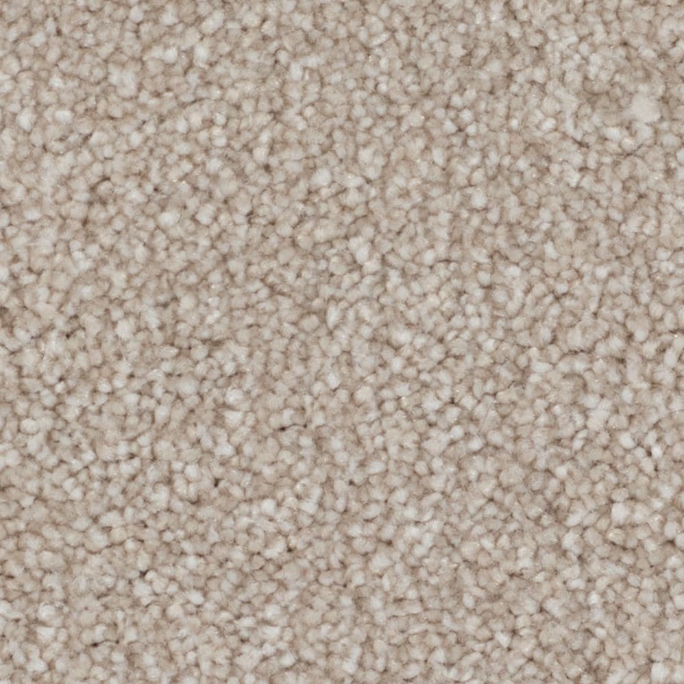 Close-up of beige carpet texture
