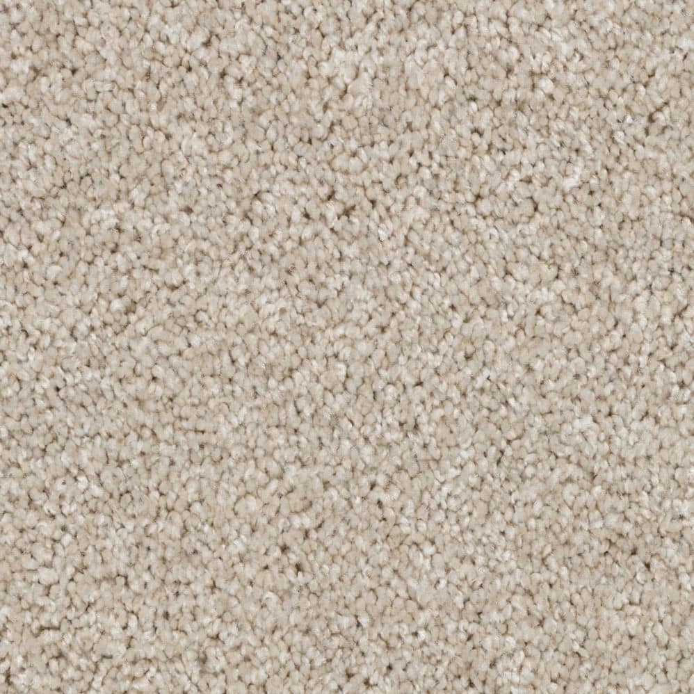 Close-up of beige carpet texture
