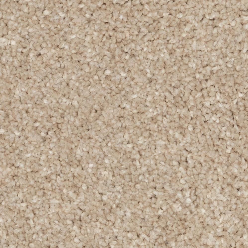 Close-up of beige carpet texture