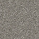 Sparrow Grey