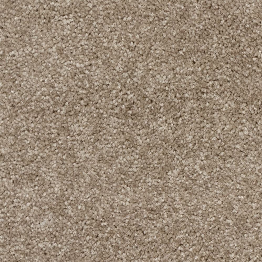 Close-up of beige textured carpet surface