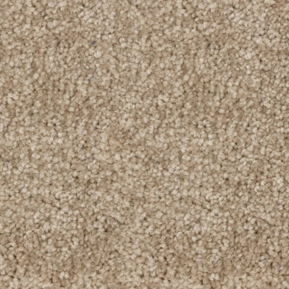 Close-up of beige carpet texture