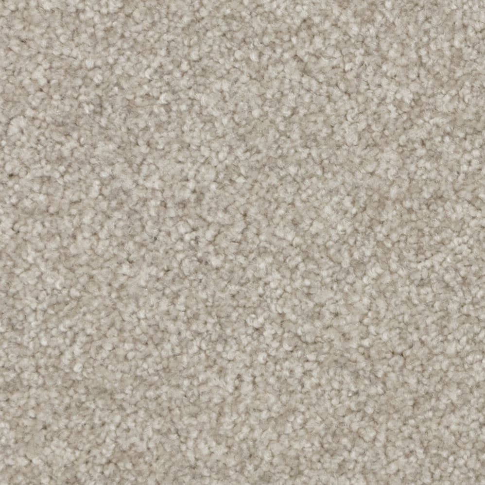 Close-up of beige carpet texture