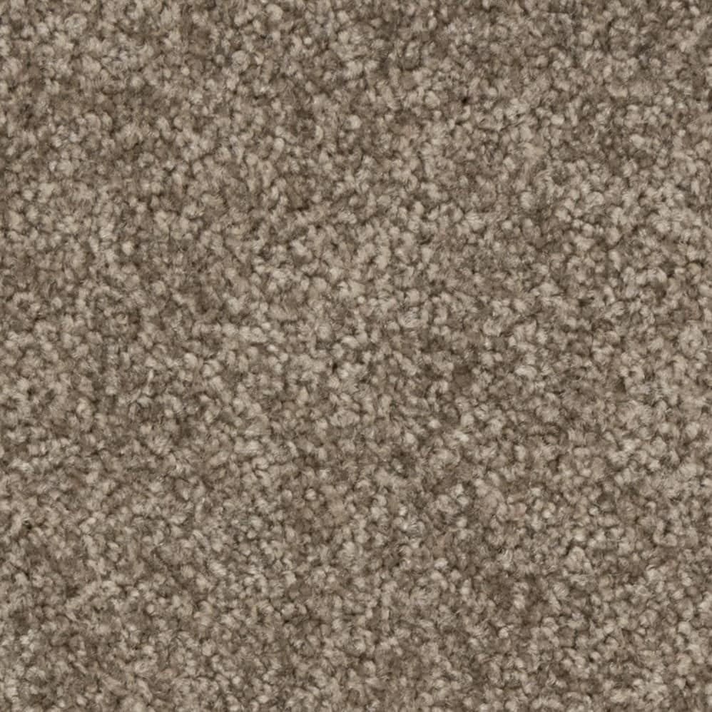Close-up of beige carpet texture