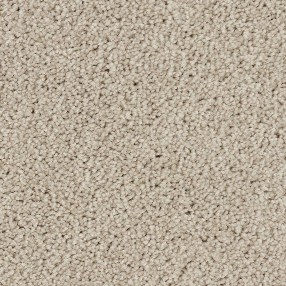 Close-up of beige textured carpet surface