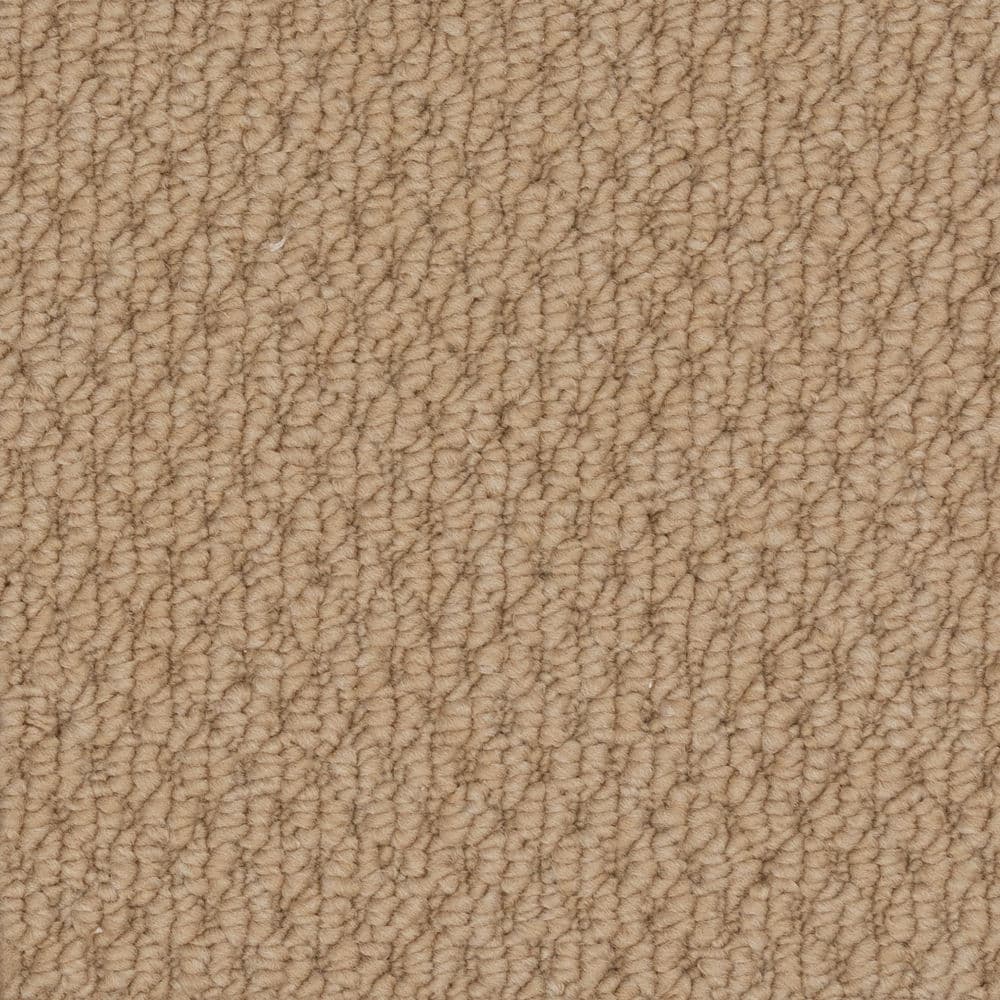 Close-up of beige carpet texture