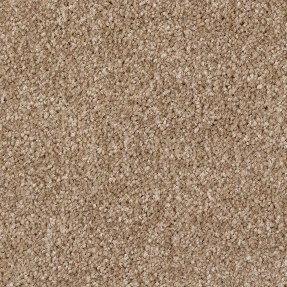 Close-up of beige carpet texture