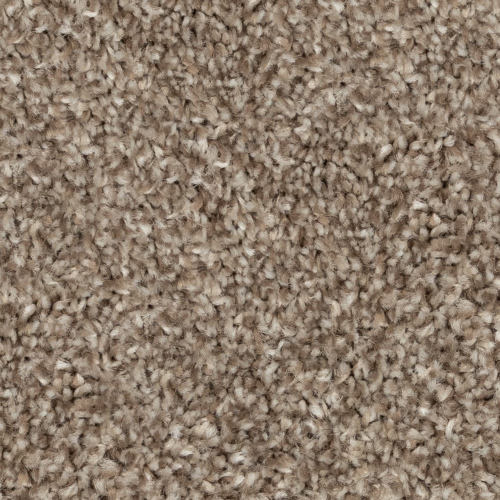 Close-up of beige plush carpet texture