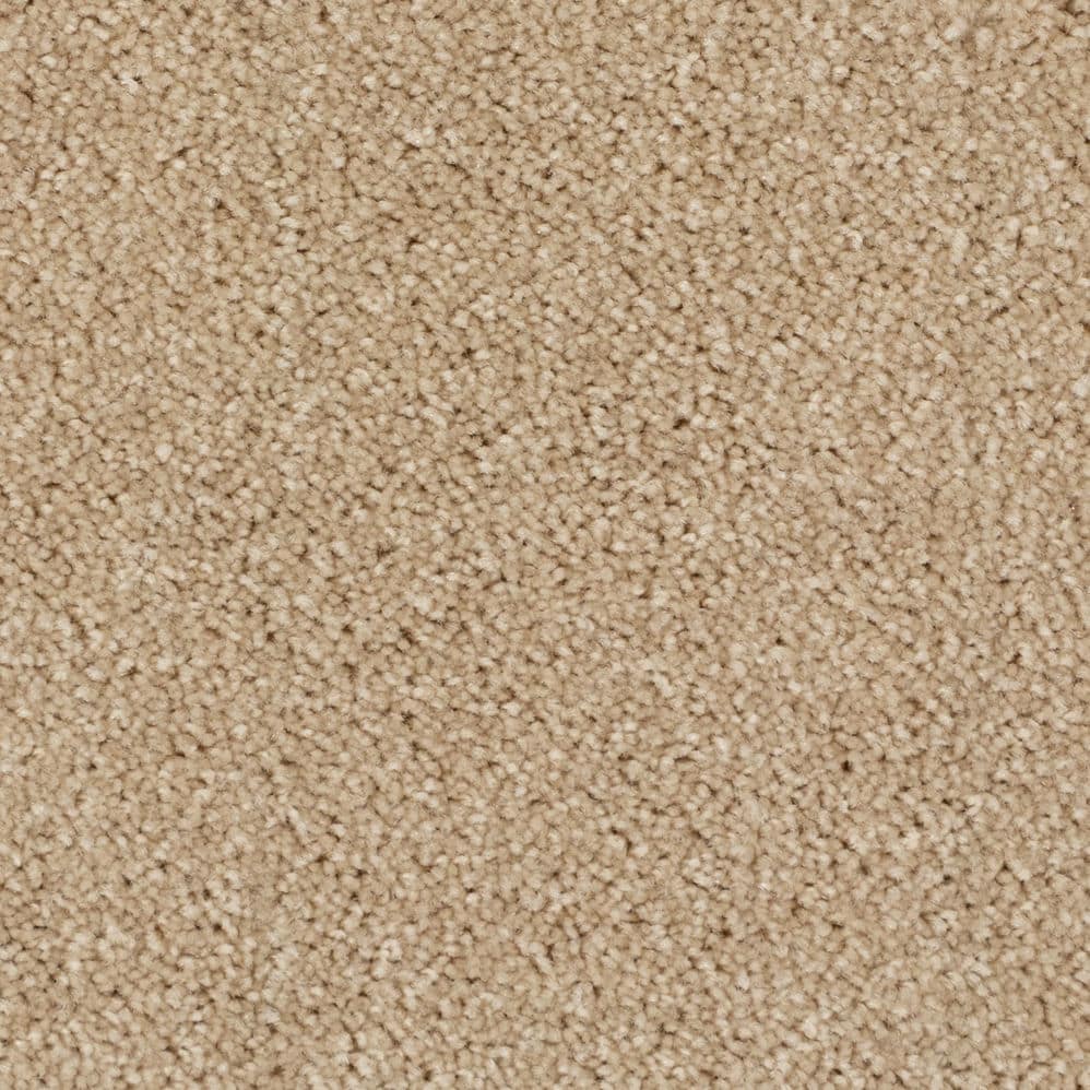 Close-up of beige carpet texture