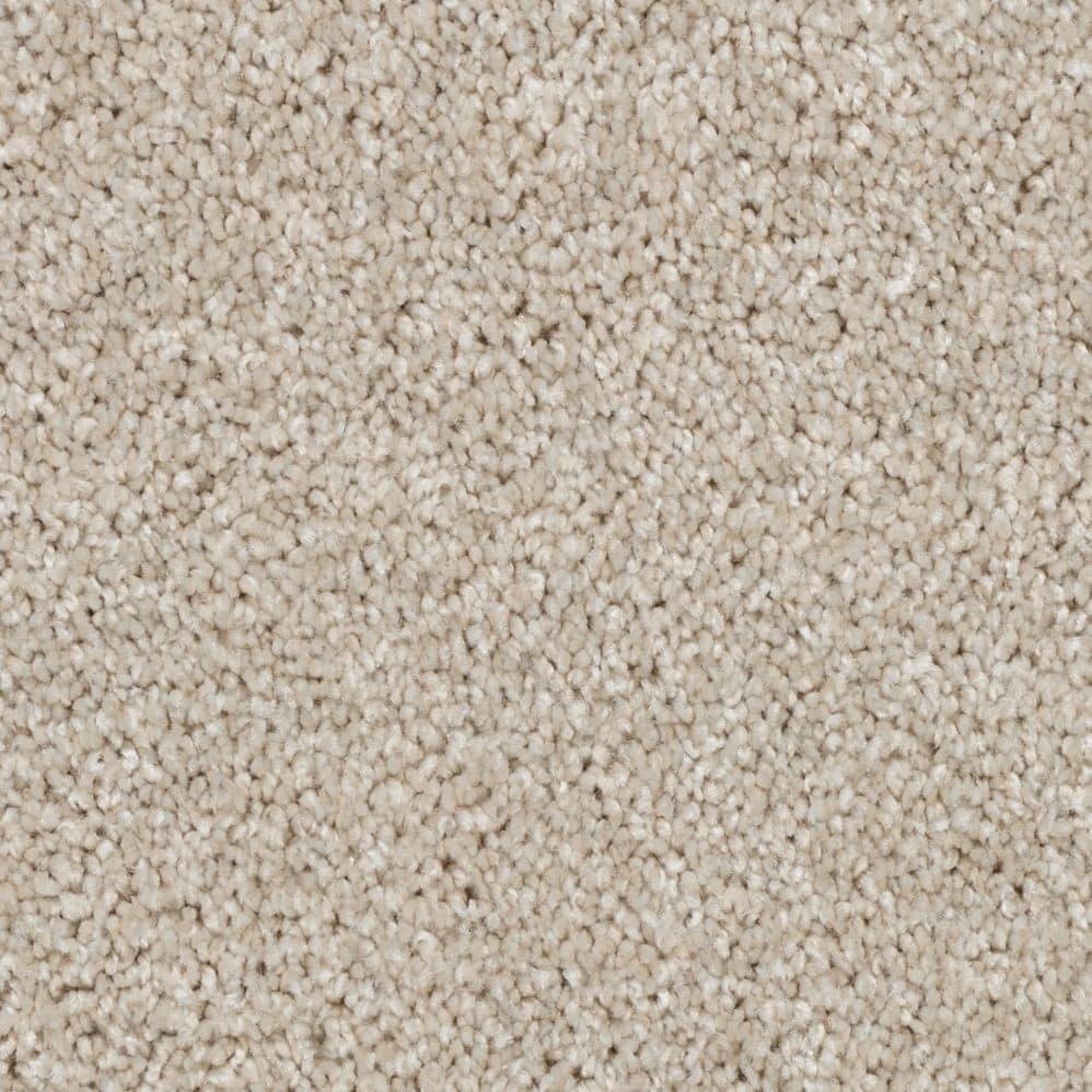 Close-up of beige carpet texture