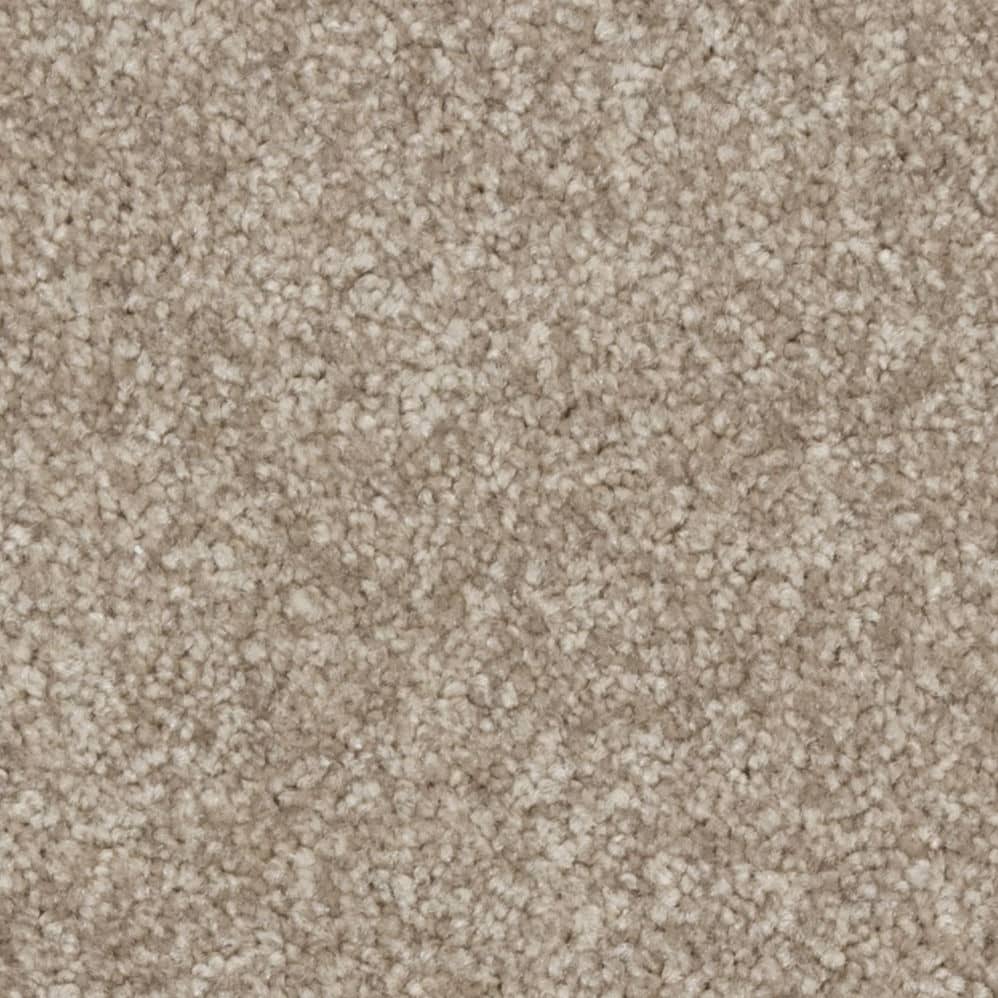 Close-up of beige carpet texture