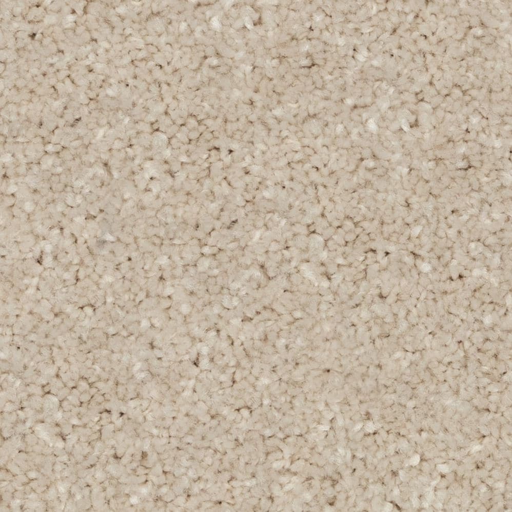 Close-up of beige carpet texture