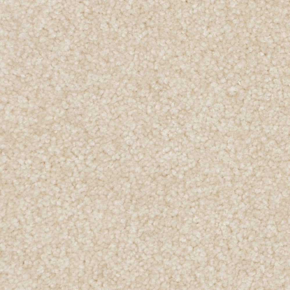 Close-up of beige carpet texture