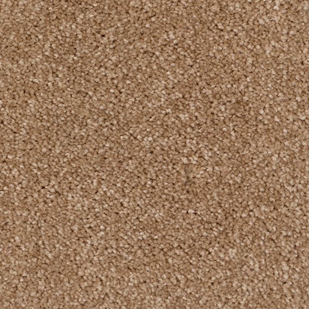 Close-up of beige carpet texture
